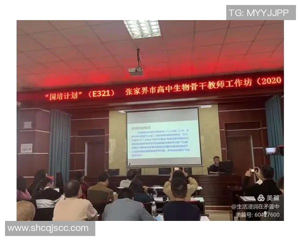 广州排球队的崛起与发展分析聚焦力量与团队协作的深度探讨